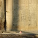 DSC02887-min